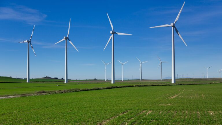 Wind Farms Systems